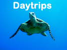 Diving Daytrips Local Divesites Phuket Thailand
