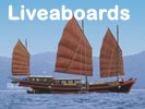 Liveaboards - Similans Burma Banks Richelieu Rock 