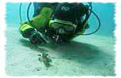 PADI Advanced Open Water Diver Navigation