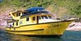 Sea Bees Excalibur II 