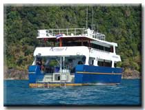 mermaid Stern view