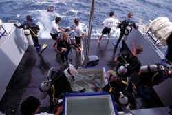 Ocean Rover's Dive Deck